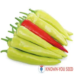Zesy Hot Pepper F1 - Known You Seeds (20 seeds) Known You