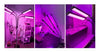 2-Headed LED Grow Light (20W) MHB Hydroponics