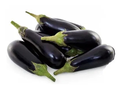 Willy Eggplant F1 - Known You Seeds (20 seeds) Known You