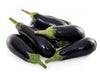 Willy Eggplant F1 - Known You Seeds (20 seeds) Known You