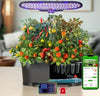 Smart 15-Pod Indoor Hydroponic Growing System MHB Hydroponics