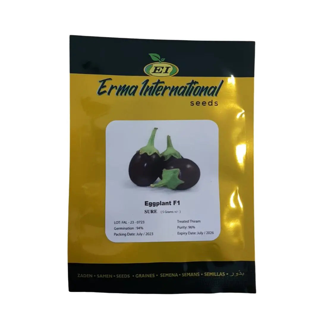 Sure Eggplant F1 - Erma International Seeds ( 20 seeds) Erma International Seeds