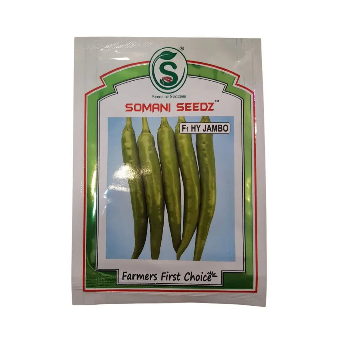 Jambo Green Chilli F1 - Somani Seeds (20 seeds) Somani