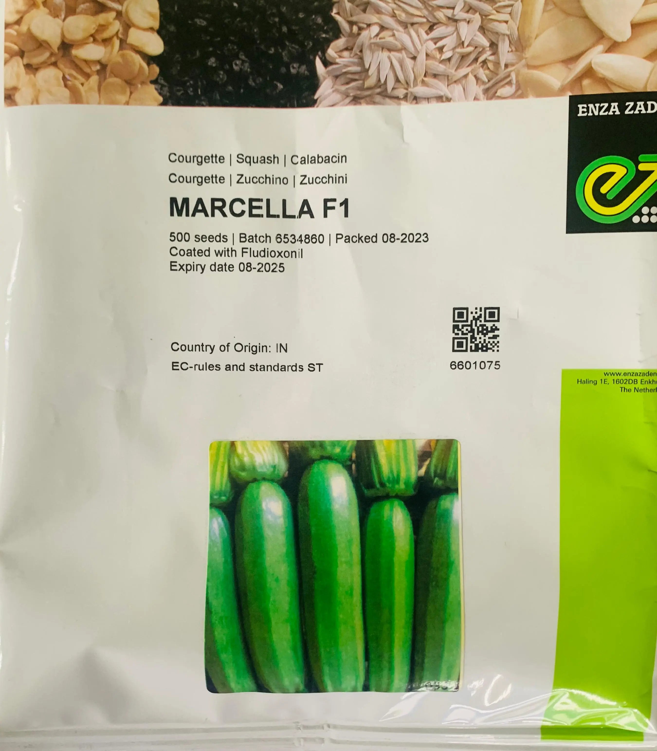Marcela Zucchini F1 - ( ENZA ZADEN ) Enza Zaden