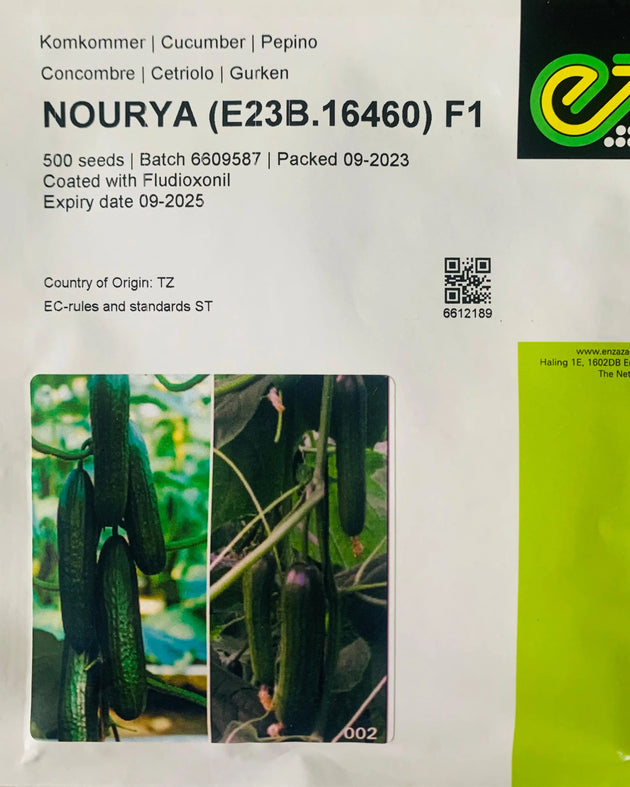 Nourya Cucumber F1 - Enza Zaden (10-seed) Enza Zaden