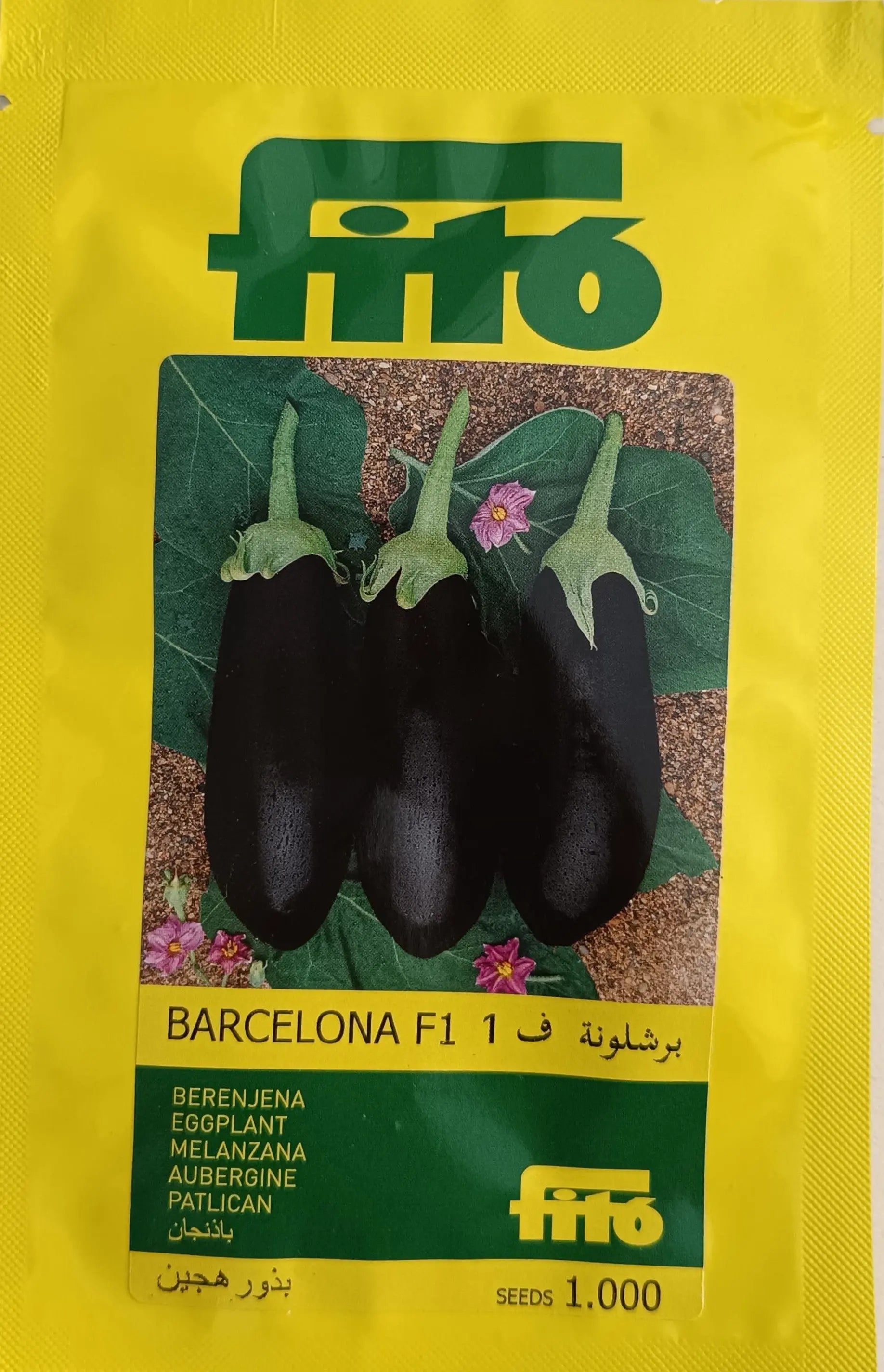 Eggplant Barcelona F1 - Fito (10 seeds) Fito