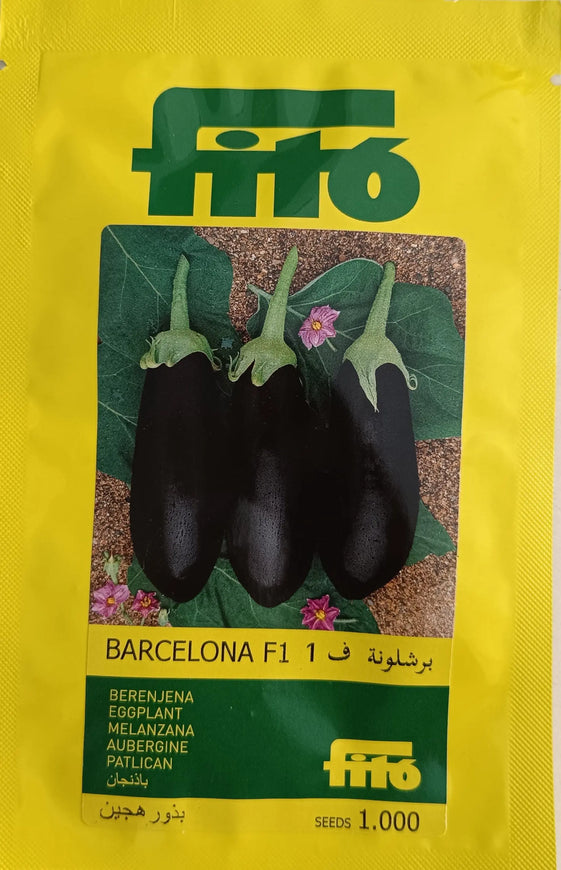 Eggplant Barcelona F1 - Fito (10 seeds) Fito