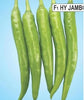 Jambo Green Chilli F1 - Somani Seeds (20 seeds) Somani