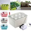 Small Hydroponics Kit (6-holes) MHB Hydroponics