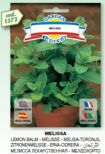 Melissa Lemon Balm - Galassi Sementi MHB Hydroponics