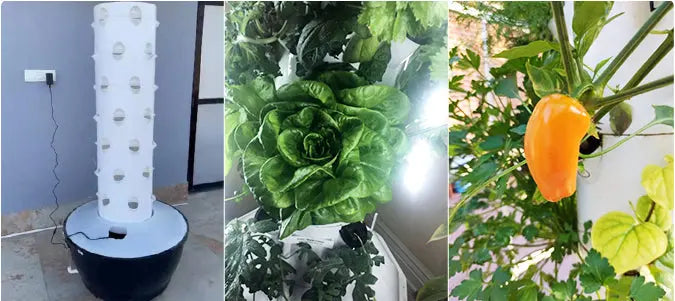 Vertical Hydroponics Professional Tower (36-holes) MHB Hydroponics