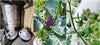Vertical Hydroponics Professional Tower (36-holes) MHB Hydroponics