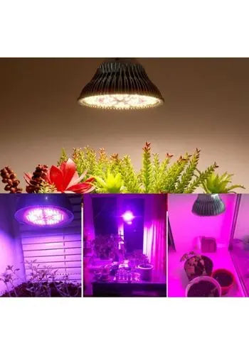 36W Grow Bulb (Full Spectrum) MHB Hydroponics