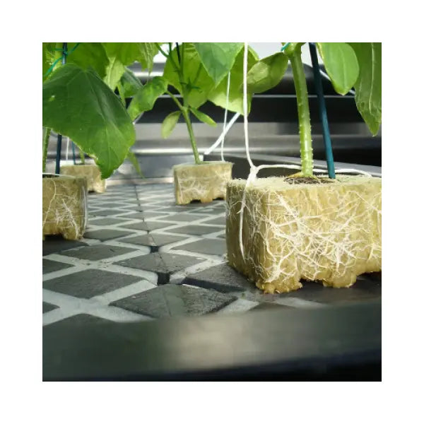 Rockwool Cubes Set (128 pcs) - MHB Hydroponics