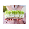 Microgreen Fiber Mat (20 x 30 cm) MHB Hydroponics