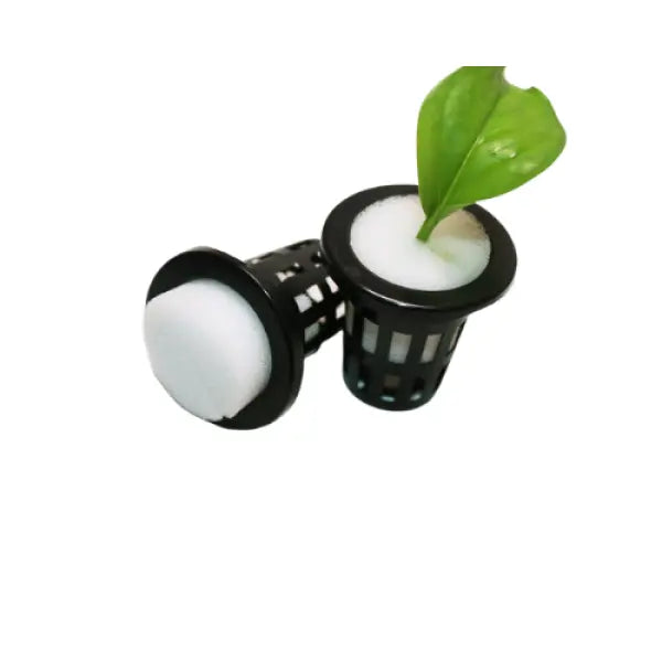 Planting Growing Sponges (20pcs) MHB Hydroponics
