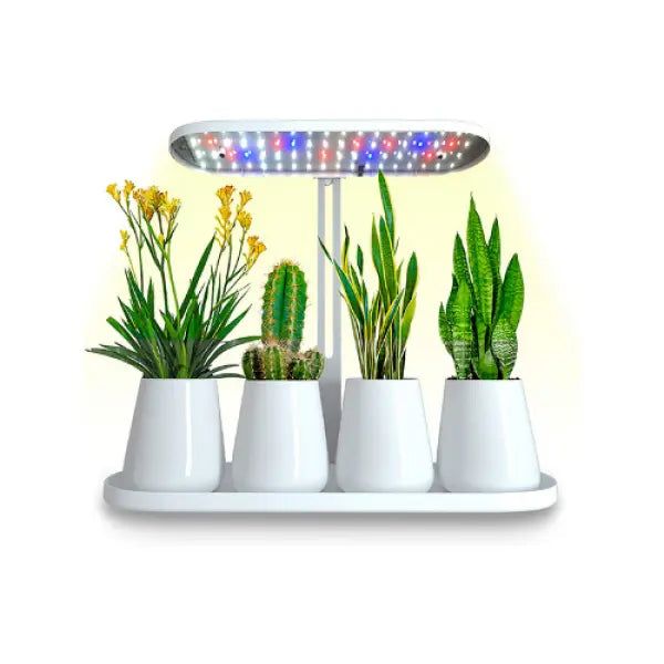 Grow Light Tray MHB Hydroponics