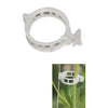 Tomato Trellis Clip (100pcs) MHB Hydroponics