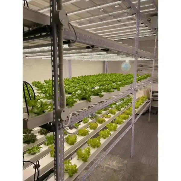 T8 Grow Light - MHB Hydroponics