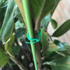 Green Twist Tie MHB Hydroponics