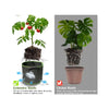 Green Threaded Fabric Grow Bags MHB Hydroponics