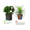 Green Threaded Fabric Grow Bags MHB Hydroponics