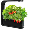 3 Pods Hydroponics System MHB Hydroponics