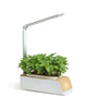 Wooden Indoor Planter - MHB Hydroponics