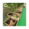 Volcanic Stones bag  (10kg) MHB Hydroponics