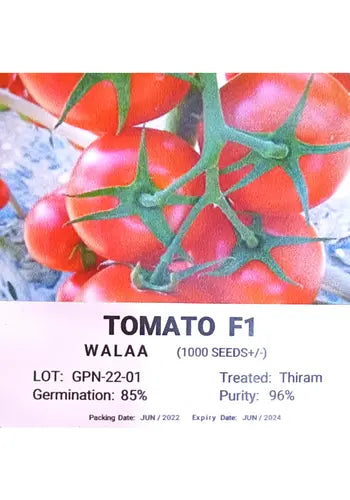 Walaa Tomato F1 - Erma International (10 seeds) MHB Hydroponics