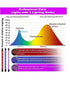 Clamp Grow Light (4 Lights + Remote Control) MHB Hydroponics