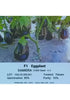 Samera Eggplant F1 - Vegrow (10 seeds) MHB Hydroponics