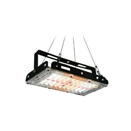 50W Flood Light with Adjustable Stand MHB Hydroponics
