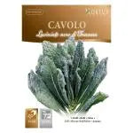 Italian Kale - Toscana/Black Tuscan MHB Hydroponics
